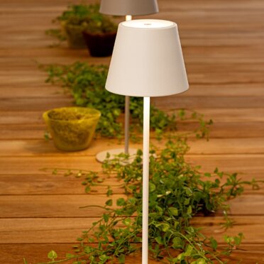Decorazioni Bizzotto