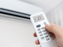 89e8d5fd-90e2-4f6d-86bc-6aee1e07933c