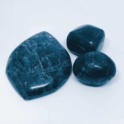 7d8ea5f2-0ee2-4378-a2c0-a5a95c0fe699 7d8ea5f2-0ee2-4378-a2c0-a5a95c0fe699