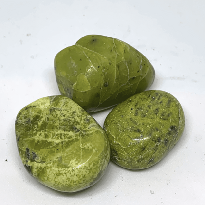 25fc4cc7-81d1-4b5d-93ab-110f9e90af29 25fc4cc7-81d1-4b5d-93ab-110f9e90af29