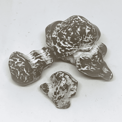 e5cda794-d93b-4273-b590-aa333ea3c157 e5cda794-d93b-4273-b590-aa333ea3c157