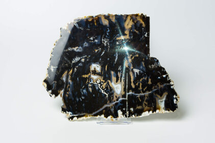 dc2fc2ed-5d8d-4de8-863a-86615b055938 dc2fc2ed-5d8d-4de8-863a-86615b055938