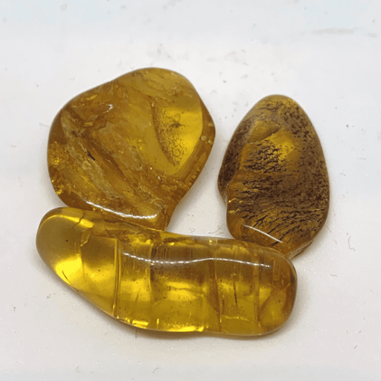 58788ea6-7f0c-4059-aabb-1eedc34b3a28 58788ea6-7f0c-4059-aabb-1eedc34b3a28