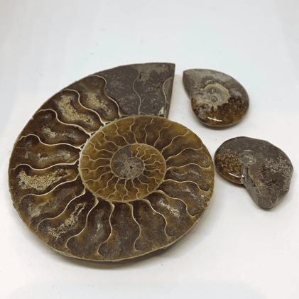 c2c8c407-9ae6-438e-876f-b8af347ffc69 c2c8c407-9ae6-438e-876f-b8af347ffc69