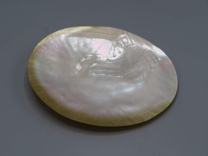 8efeb36c-21d3-4a70-88ff-e064116e5b48.jpeg 8efeb36c-21d3-4a70-88ff-e064116e5b48.jpeg