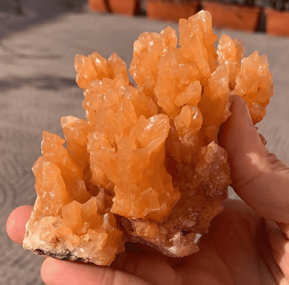 03f58189-3995-49d6-82f3-71e4f2a67cfe