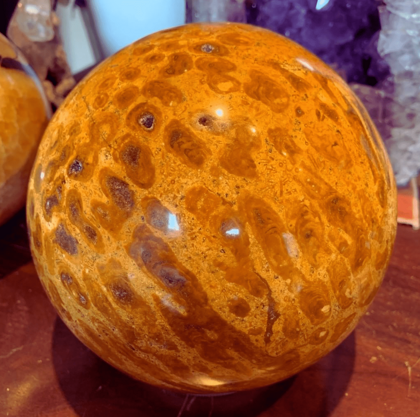 25c84c7b-cfde-483b-ad11-a13bcc117dc2