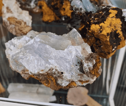 15cda148-3504-48bb-9d48-66092ec62acc