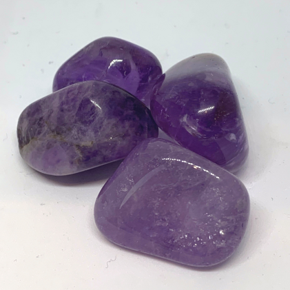 6bb36808-1a90-42e8-9e5d-8ecbe44286eb 6bb36808-1a90-42e8-9e5d-8ecbe44286eb