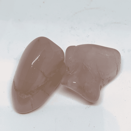 262bc602-37f0-4cee-b5a5-5ddea41b932d