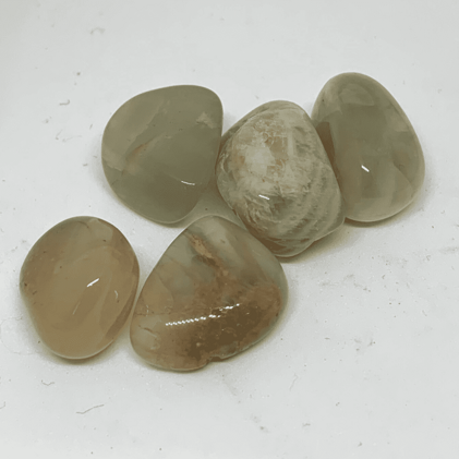 6329f407-3b75-44b7-b033-1fa49670f8a8 6329f407-3b75-44b7-b033-1fa49670f8a8