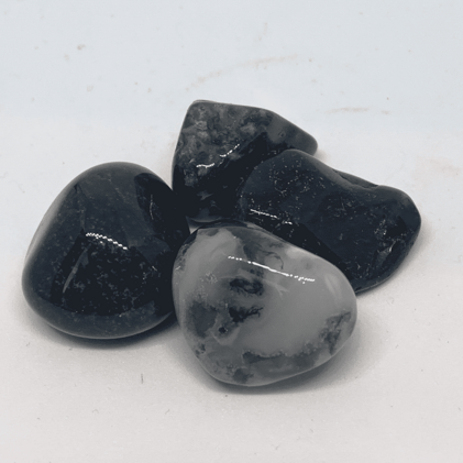 8dd8b41f-203f-4bf4-b8d1-96c57a3b5f6d 8dd8b41f-203f-4bf4-b8d1-96c57a3b5f6d