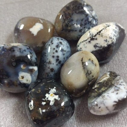 9b9455f7-0185-4d3a-9d94-648d5034734f.jpeg 9b9455f7-0185-4d3a-9d94-648d5034734f.jpeg