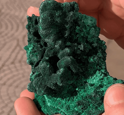 41c5ca41-3b98-43f0-b48f-871365490677 41c5ca41-3b98-43f0-b48f-871365490677