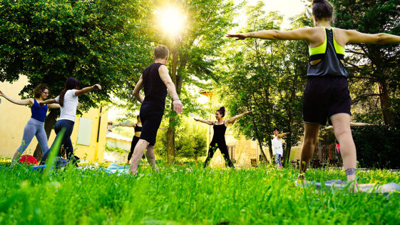 b482acae-221d-43d1-85f2-919a7ec00135