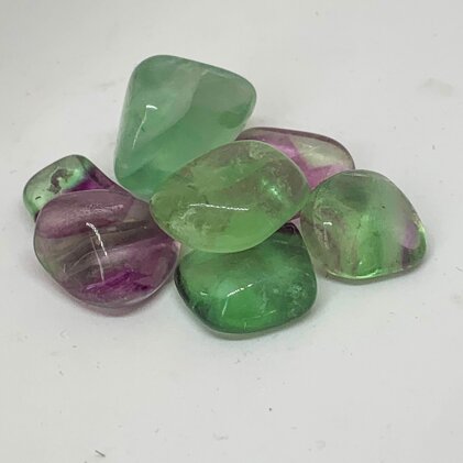 892e5231-011b-4d8c-a311-2ae5e7e4c14f.jpeg 892e5231-011b-4d8c-a311-2ae5e7e4c14f.jpeg