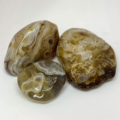 e0722ddd-c392-4c02-9f37-ac428a9fff10.jpeg e0722ddd-c392-4c02-9f37-ac428a9fff10.jpeg