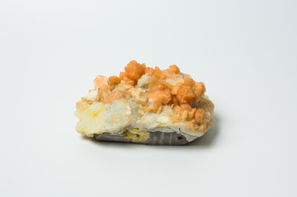 f42e0e9d-8058-48a0-bf08-16ac2c4099d5