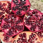 pomegranate-jelly