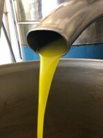 nobile-di-rienzo-3-lt