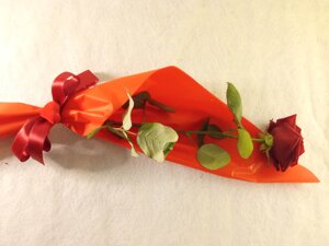 confezione-rosa-rossa-80-cm