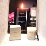 candela-molla-provence-lavender