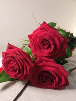 confezione-3-rose-rosse-80-cm