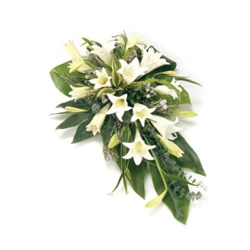 fascio_funebre_di_lilium_bianco_consegna_fiori_per_lutto_in_chiesa_o_a_domicilio_in_tutta_italia-consegna-direttamente-al-funerale-per-le-condoglianze-di-una-giovane-persona-morta-500x.jpeg fascio_funebre_di_lilium_bianco_consegna_fiori_per_lutto_in_chiesa_o_a_domicilio_in_tutta_italia-consegna-direttamente-al-funerale-per-le-condoglianze-di-una-giovane-persona-morta-500x.jpeg
