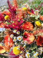 mazzo-in-struttura-orange