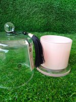 candela-quintessenza-amore-media