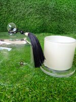 candela-quintessenza-allegria-media