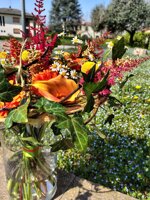 mazzo-in-struttura-orange