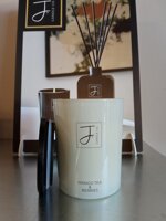 candela-mango-tea-berries-430-gr