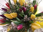 bouquet-grande-tulipani-e-ginestra