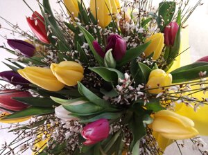bouquet-tulipani-e-ginestra