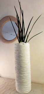 sanseveria-tubolaris-in-vaso-di-resinacemento