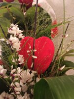 confezione-3-rose-rosse-80-cm-con-verdi