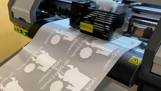 e95182eb-da29-4c70-a634-a03b89ac6b51