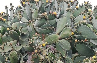 img_20240523_083846.jpeg