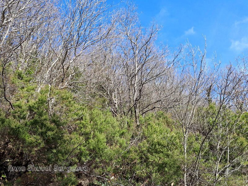 19902857-38ff-4648-a792-b068b3531587.jpg