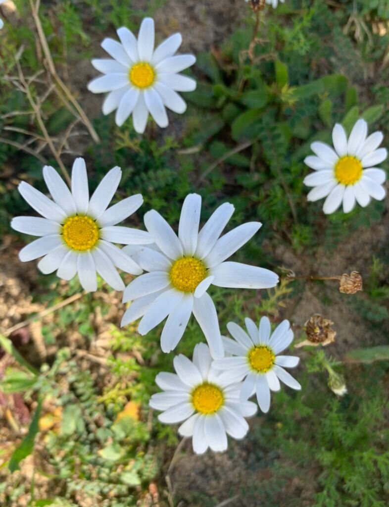 c7f8260e-f035-4890-810c-361d744ffcae.jpeg