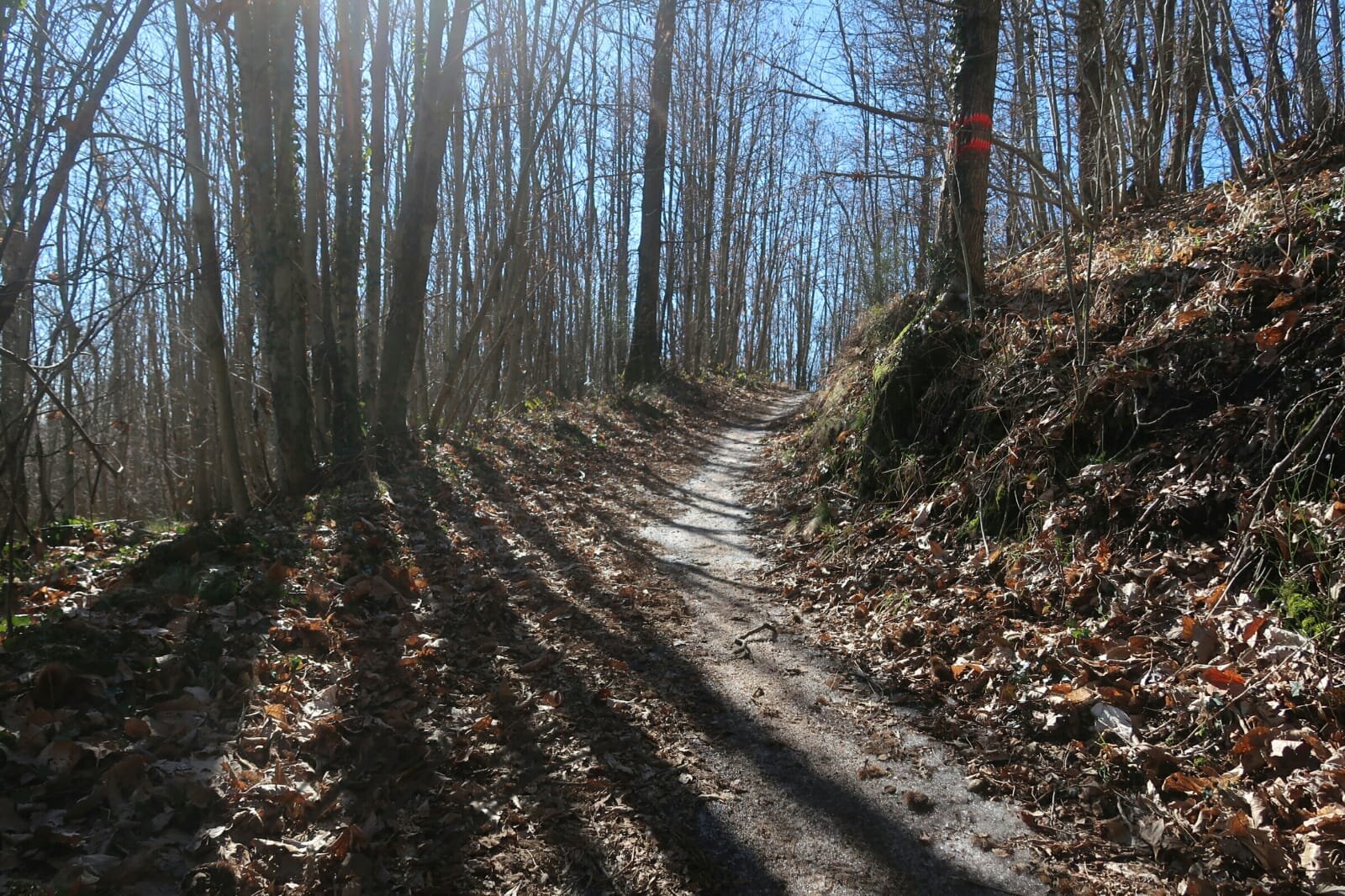 62439637-b661-47a9-a009-84e37e3b0821.jpeg