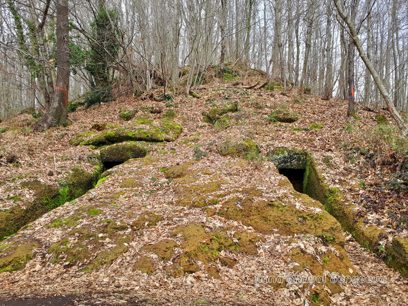 b9a48608-32ad-4209-8d96-daed97afeb8d.jpg