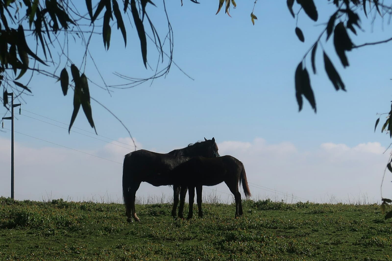 Con i vostri occhi: l'Oasi LIPU