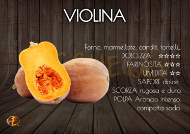 Violina