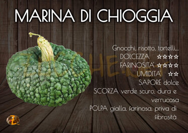 Marina di Chioggia