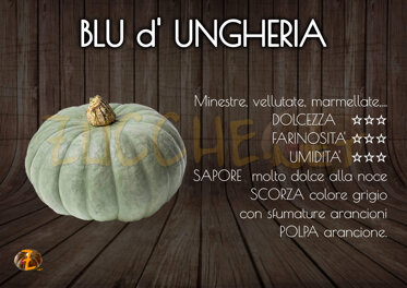 Blu d' Ungheria