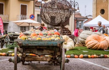 Fiera della zucca di Piozzo Fiera della zucca di Piozzo