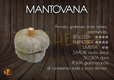 Mantovana