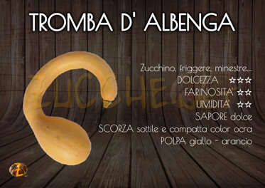 Tromba d' Albenga